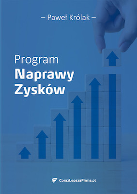 Program Naprawy Zysków