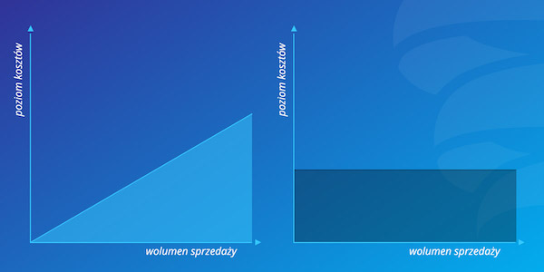 Poziom kosztów, wykres